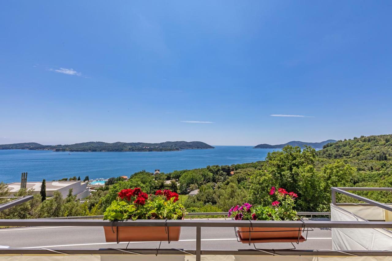 Apartmani D & J Орашац Экстерьер фото